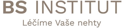 BS INSTITUT s.r.o.