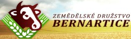 ZD BERNARTICE 