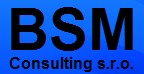 BSM CONSULTING s.r.o.