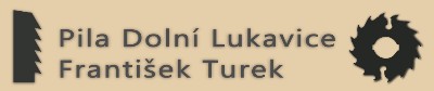 František Turek 