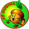 ZŠ PARDUBICE-DUBINA 