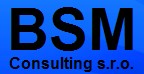 BSM CONSULTING s.r.o.
