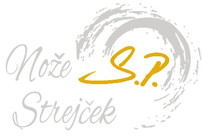 Pavel Strejček 