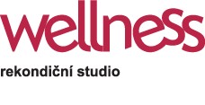 WELLNESS TOP 
