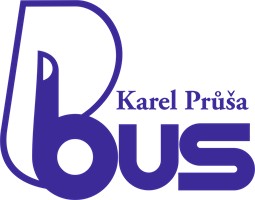 P-BUS 