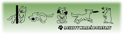 Agility Mladá Boleslav z.s.