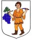 Městská policie Hluk 