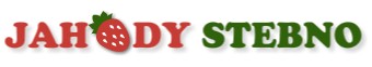 JAHODY STEBNO 