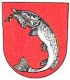 Město Dolní Benešov 