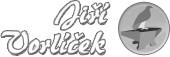 Jiří Vorlíček