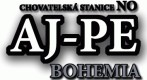 AJ-PE 