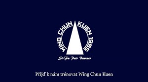 WING CHUN KUNG FU 