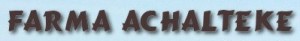 FARMA ACHALTEKE 