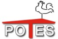 KOHOUT ZDENĚK-POTES 