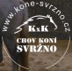 DVŮR SVRŽNO 