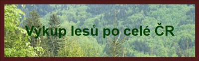 Květoslav Sýkora 