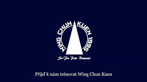 WING CHUN KUEN 1995 