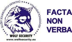 WOLF SECURITY 