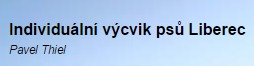 THIEL PAVEL