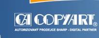 RAISKUB JOSEF-COPYART 