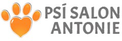PSÍ SALON 