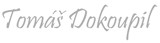 Tomáš Dokoupil 