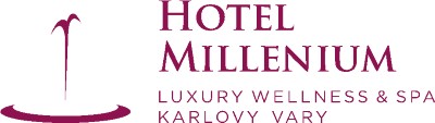 HOTEL MILLENIUM 