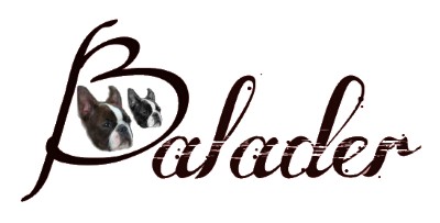 KONEČNÁ MARTA Bc.-BALADER 