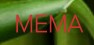 YMA24.EU 