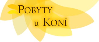 POBYTY U KONÍ