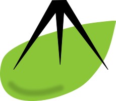 GEODETICKÉ PRÁCE - Ing. Lenka Vlčková 