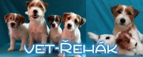 VETERINÁRNÍ ORDINACE-MVDr. ŘEHÁK MIROSLAV 