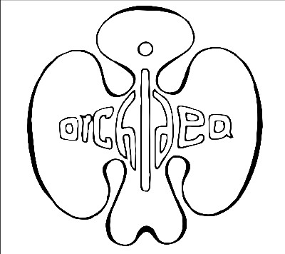 ZUŠ ORCHIDEA 