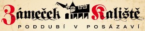 SRBA JOSEF-STAVEBNÍ FIRMA 