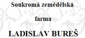 BUREŠ LADISLAV 