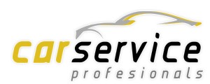 CAR SERVICE PROFESIONALS 