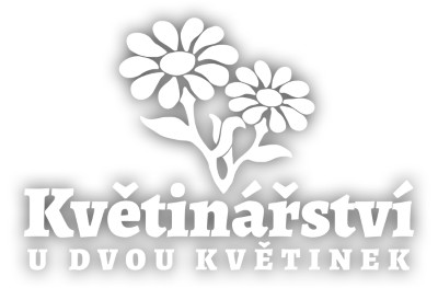 KVĚTINÁŘSTVÍ U DVOU KVĚTINEK 
