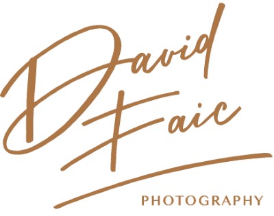 DAVID FAIC s.r.o.