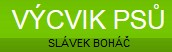 BOHÁČ VLADISLAV-VÝCVIK PSŮ 