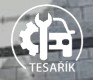 AUTOSERVIS PNEUSERVIS-TESAŘÍK PETR 