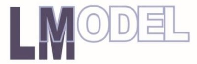 LM MODEL 