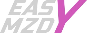 EASY MZDY s.r.o.