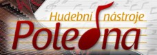 HUDEBNÍ NÁSTROJE POLEDNA 