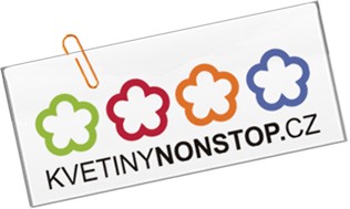 KVĚTINYNONSTOP.CZ 