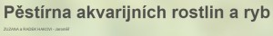 PĚSTÍRNA AKVARIJNÍCH ROSTLIN A RYB-JAROMĚŘ 