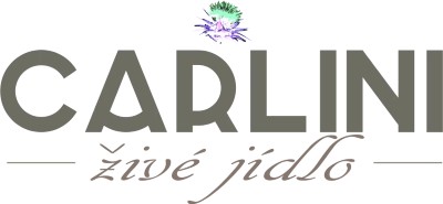 CARLINI s.r.o.