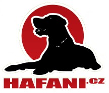 Hafani.cz s.r.o.