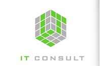 IT CONSULT 