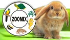 DRDA ANTONÍN-ZOOMIX 