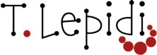 ŠPERKY LEPIDI 